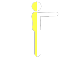 AA